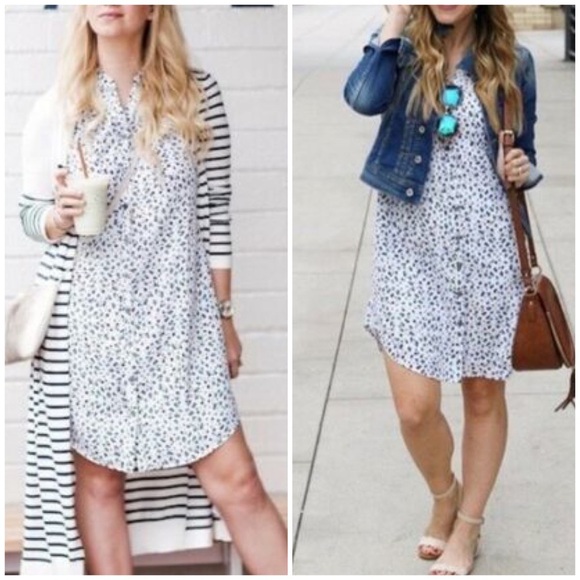 CAbi Dresses & Skirts - CAbi Camilla Leopard Print Shirt Dress blue medium